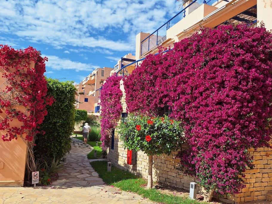 מוחקאר Sea View Cozy Apartment La Tanita מראה חיצוני תמונה